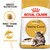 ROYAL CANIN® Maine Coon 10kg